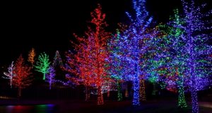 Christmast tree lights.