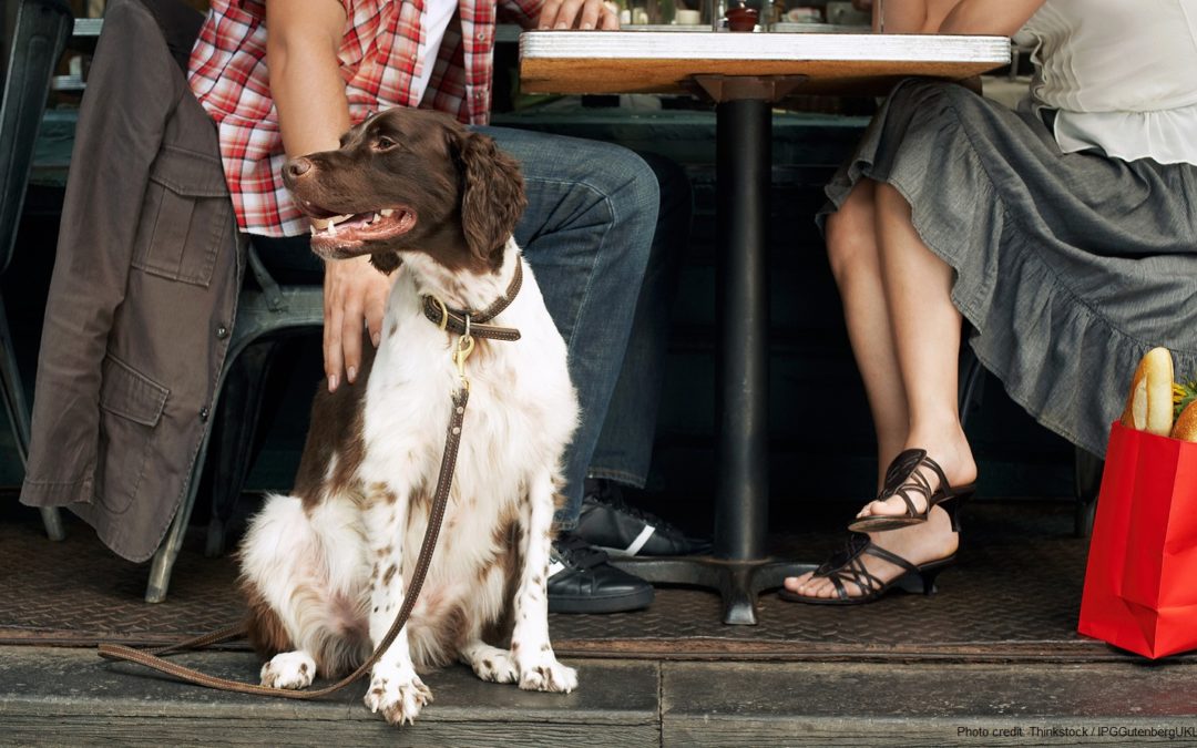 3 of the Best Dog-Friendly Restaurants in Boothbay Harbor, Maine
