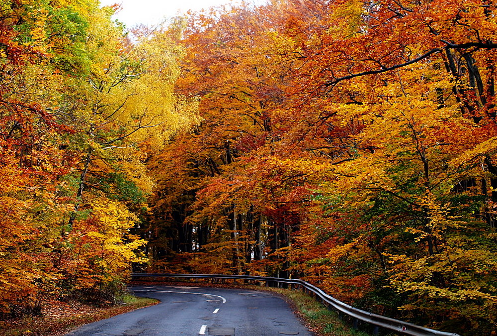 Day Trip: The Best Fall Drives Near Boothbay Harbor