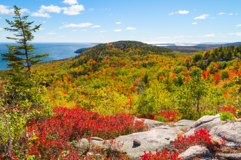 Midcoast Maine Fall Guide | Boothbay Harbor | Linekin Bay Resort