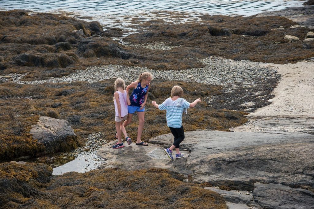 Kids and adult exploring the tidal pools along the shore.