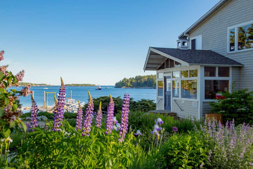 Lilacs in front of the ocean at Linekin Bay Resort